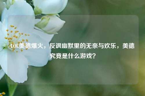 LOL美德爆火，反讽幽默里的无奈与欢乐，美德究竟是什么游戏？