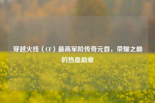 穿越火线(CF)最高军阶传奇元首,荣耀之巅的热血勋章
