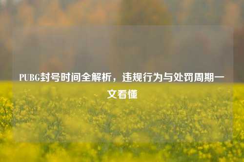 PUBG封号时间全解析，违规行为与处罚周期一文看懂