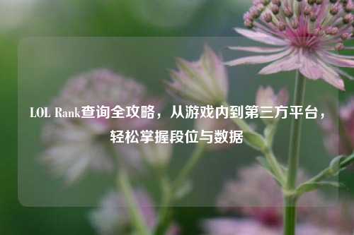LOL Rank查询全攻略,从游戏内到第三方平台,轻松掌握段位与数据
