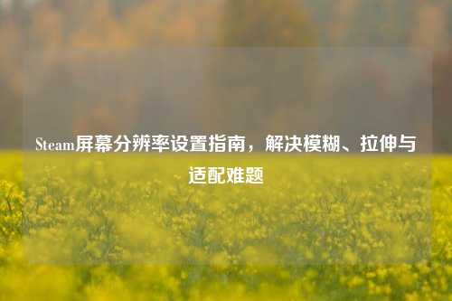 Steam屏幕分辨率设置指南，解决模糊、拉伸与适配难题