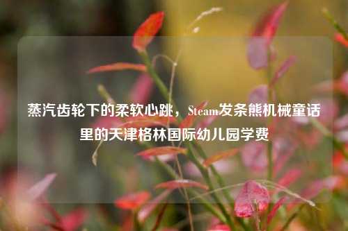 蒸汽齿轮下的柔软心跳,Steam发条熊机械童话里的天津格林国际幼儿园学费