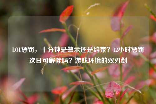 LOL惩罚，十分钟是警示还是约束？12小时惩罚次日可解除吗？游戏环境的双刃剑
