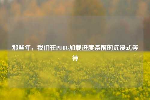 那些年，我们在PUBG加载进度条前的沉浸式等待