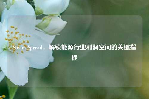 Steam Spread，解锁能源行业利润空间的关键指标