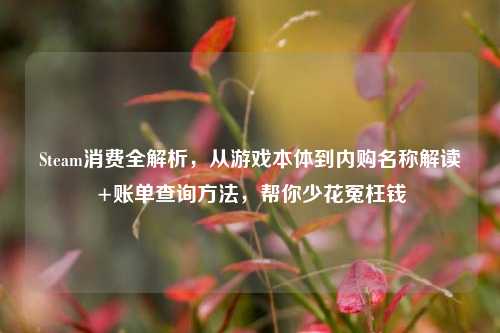 Steam消费全解析，从游戏本体到内购名称解读+账单查询方法，帮你少花冤枉钱