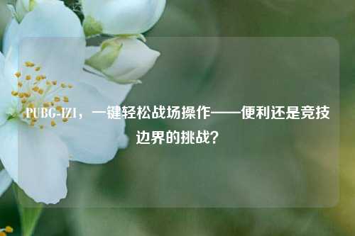 PUBG-IZI，一键轻松战场操作——便利还是竞技边界的挑战？