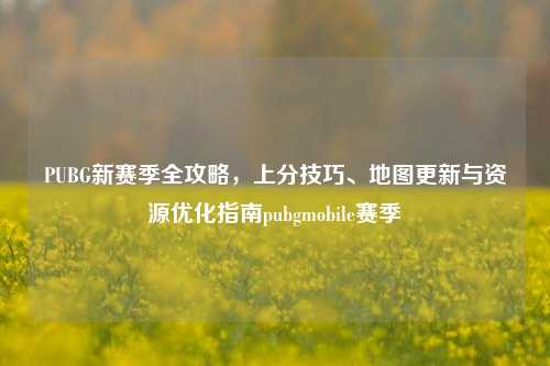 PUBG新赛季全攻略，上分技巧、地图更新与资源优化指南pubgmobile赛季