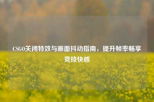 CSGO关闭特效与画面抖动指南，提升帧率畅享竞技快感