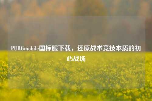 PUBGmobile国标服下载，还原战术竞技本质的初心战场
