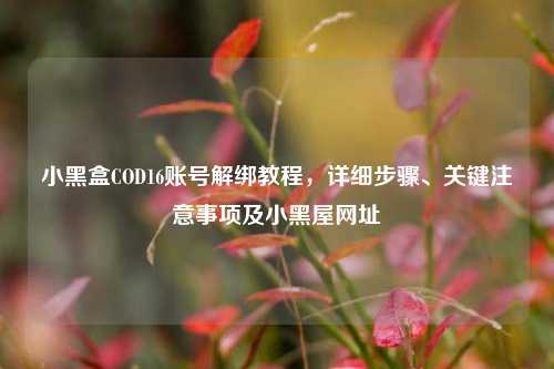 小黑盒COD16账号解绑教程，详细步骤、关键注意事项及小黑屋网址
