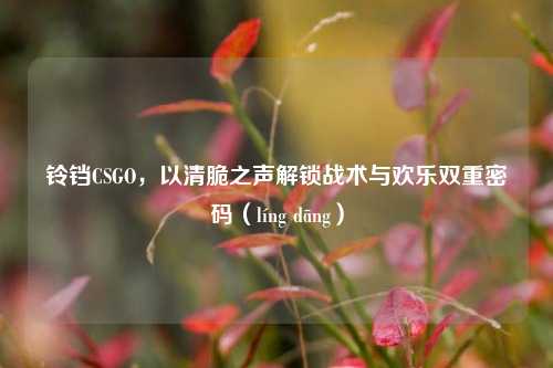 铃铛CSGO，以清脆之声解锁战术与欢乐双重密码（líng dāng）