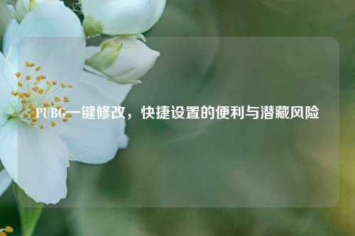 PUBG一键修改，快捷设置的便利与潜藏风险