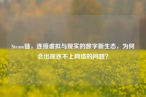 Steam链，连接虚拟与现实的数字新生态，为何会出现连不上网络的问题？