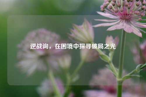 逆战询，在困境中探寻破局之光