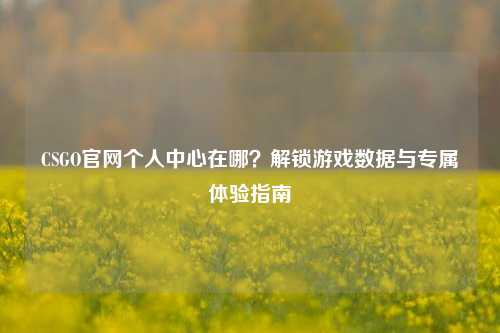 CSGO官网个人中心在哪？解锁游戏数据与专属体验指南