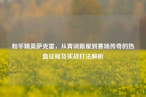 和平精英萨克雷，从青训新星到赛场传奇的热血征程及实战打法解析