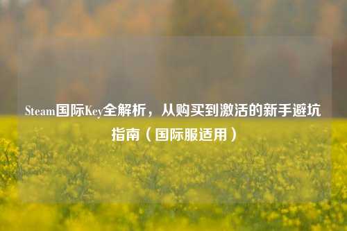 Steam国际Key全解析，从购买到激活的新手避坑指南（国际服适用）