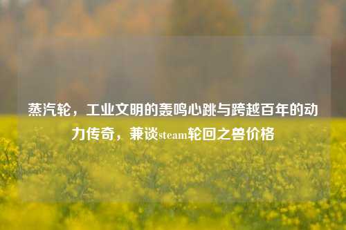 蒸汽轮,工业文明的轰鸣心跳与跨越百年的动力传奇,兼谈steam轮回之兽价格