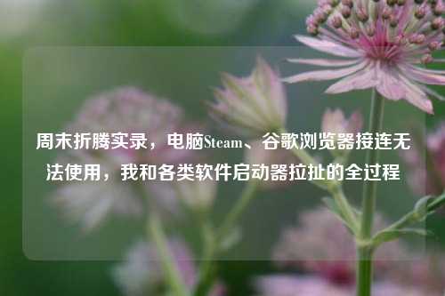 周末折腾实录，电脑Steam、谷歌浏览器接连无法使用，我和各类软件启动器拉扯的全过程