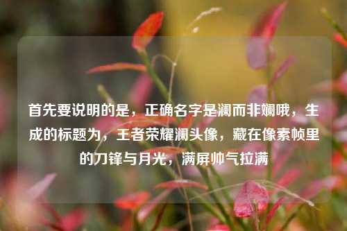 首先要说明的是，正确名字是澜而非斓哦，生成的标题为，王者荣耀澜头像，藏在像素帧里的刀锋与月光，满屏帅气拉满