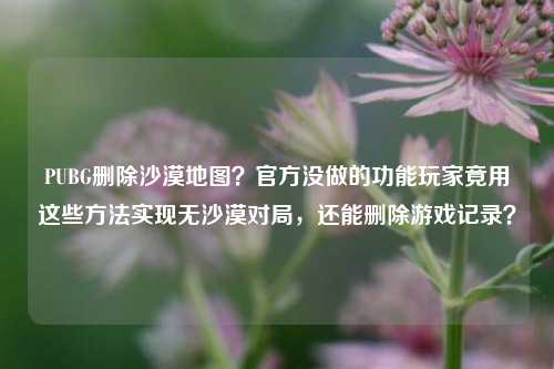 PUBG删除沙漠地图？官方没做的功能玩家竟用这些方法实现无沙漠对局，还能删除游戏记录？