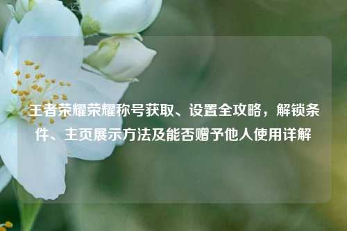 王者荣耀荣耀称号获取、设置全攻略，解锁条件、主页展示方法及能否赠予他人使用详解