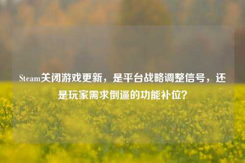 Steam关闭游戏更新，是平台战略调整信号，还是玩家需求倒逼的功能补位？