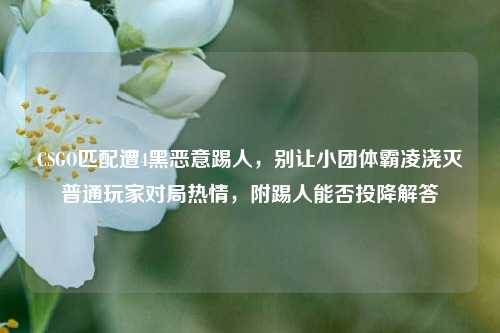 CSGO匹配遭4黑恶意踢人，别让小团体霸凌浇灭普通玩家对局热情，附踢人能否投降解答