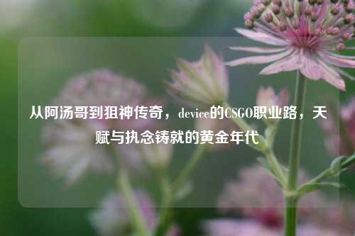从阿汤哥到狙神传奇,device的CSGO职业路,天赋与执念铸就的黄金年代