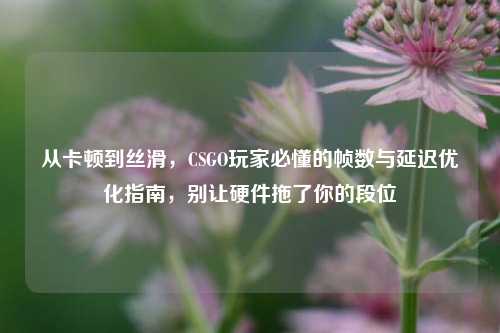 从卡顿到丝滑,CSGO玩家必懂的帧数与延迟优化指南,别让硬件拖了你的段位